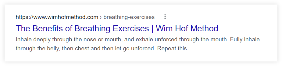 brand included in the title tag