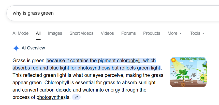 AI overviews example for keyword - why is grass green